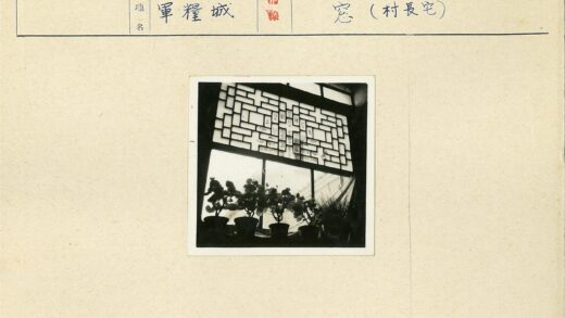 窗纱映衬室内盆栽剪影.jpg