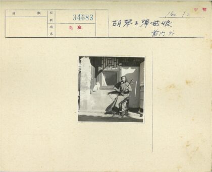 窗边妇女弹琴与猫.jpg