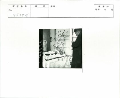 窗边桌旁鲜花与树枝.jpg