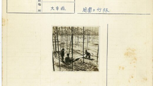 竹林嬉戏的童年时光.jpg