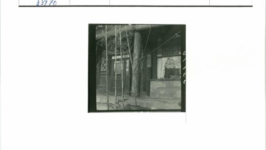 竹林木门石阶窗景.jpg