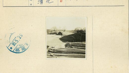 竹林树木散落户外场景.jpg