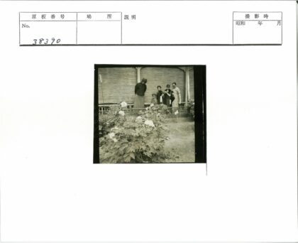 竹编建筑前赏白花园.jpg