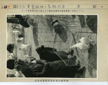 笼中鸟与石板地围观.jpg