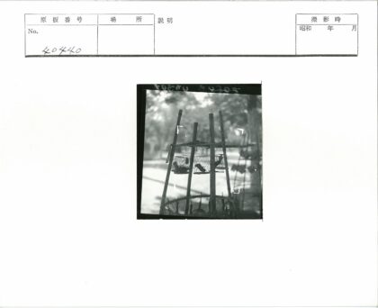 笼中鸟与自然背景.jpg