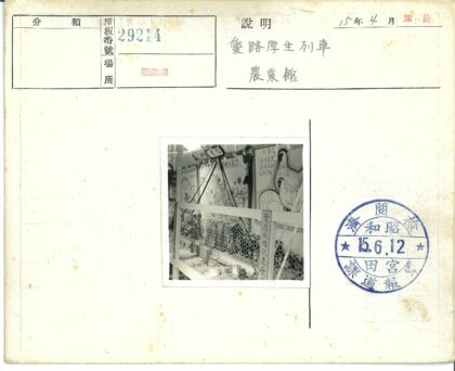 笼中鸡与背景海报.jpg