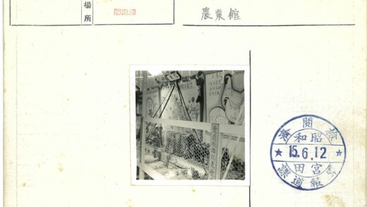 笼中鸡与背景海报.jpg