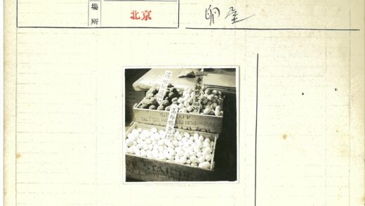箱装鸡蛋与食物标签.jpg