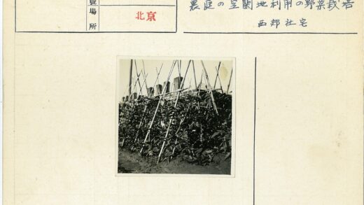 篱笆围栏支撑的花园植物.jpg