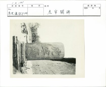 粗糙墙边铭文石雕植被背景.jpg