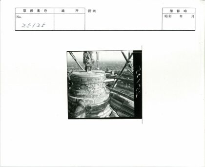 精细雕刻建筑与城市景观.jpg