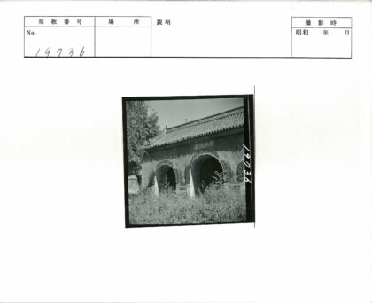 精美拱门建筑与自然景观.jpg