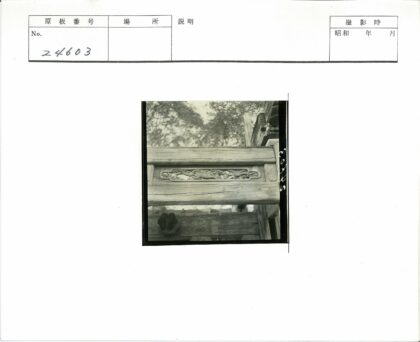 精美木雕特写与自然树木背景.jpg