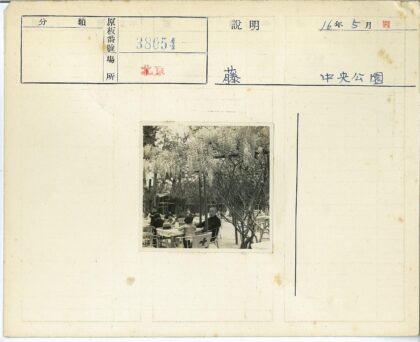 紫藤花园户外休闲时光.jpg