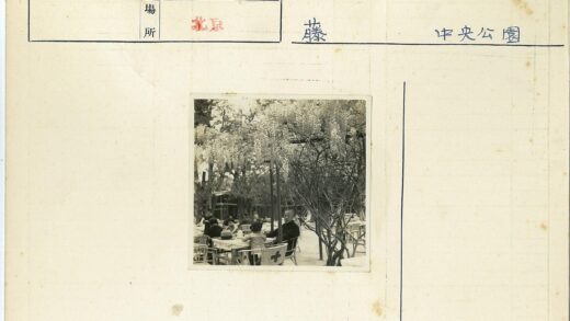 紫藤花园户外休闲时光.jpg