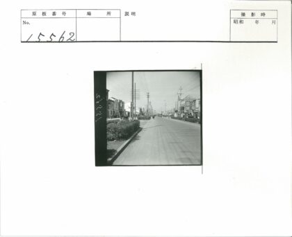 繁华街道建筑树木人群车辆.jpg