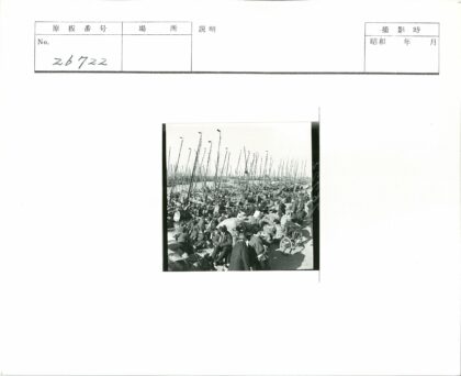 繁忙码头渔船与工人生活纪实.jpg