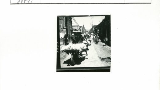 繁忙街道独轮车运货场景.jpg