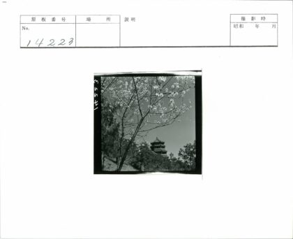 繁花古塔晴空映.jpg