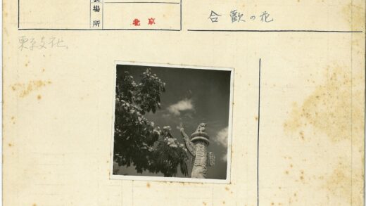 繁花古树与石雕云天.jpg