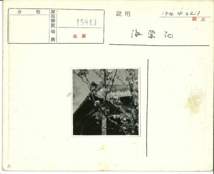 繁花古树映瓦檐.jpg