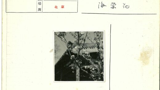 繁花古树映瓦檐.jpg