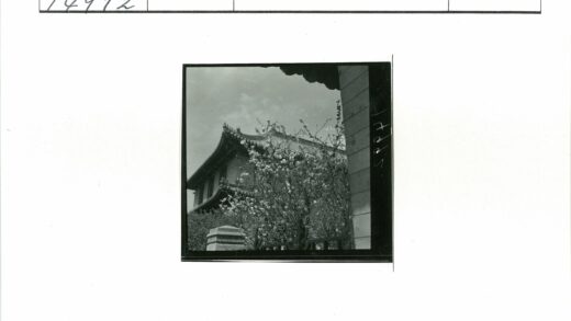 繁花掩映下的传统建筑屋顶.jpg