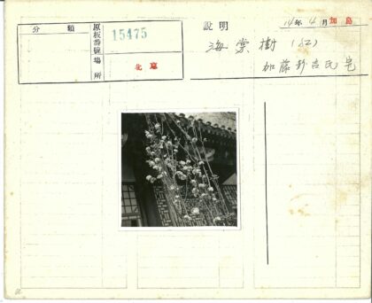 繁花掩映的传统建筑窗景.jpg