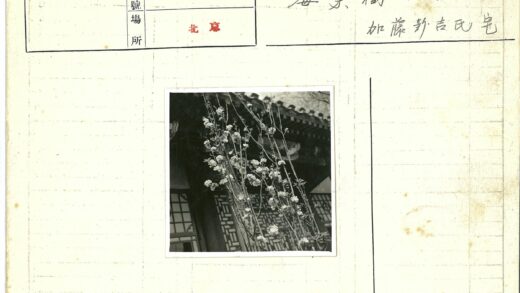 繁花掩映的传统建筑窗景.jpg