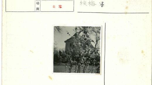 繁花映宅树.jpg