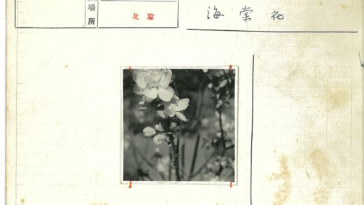 繁花枝头春意浓.jpg