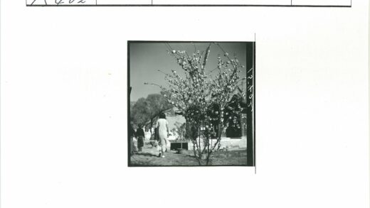 繁花树影下两人行向古建.jpg