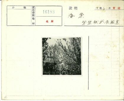 繁花盛开的春日花园.jpg