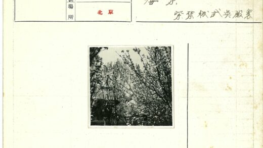 繁花盛开的春日花园.jpg