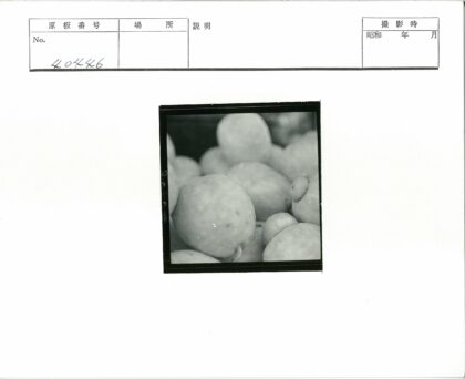纹理圆形物体特写.jpg