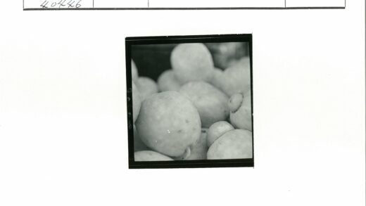 纹理圆形物体特写.jpg