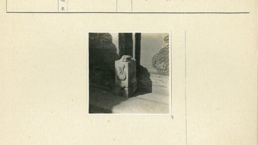 纹理墙上的雕刻动物石块.jpg