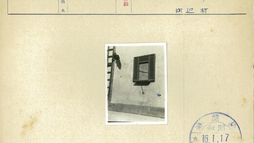 纹理墙边绿枝小窗梯子.jpg