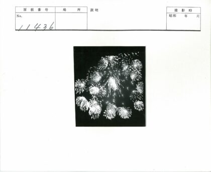绚丽烟花照亮夜空.jpg