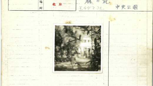 绿叶掩映中的模糊建筑.jpg