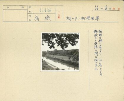 绿墙河流古建远景.jpg