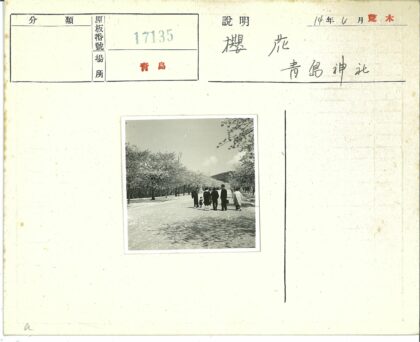 绿树小路与远山风景.jpg