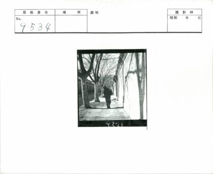 绿树成荫人行道与建筑.jpg