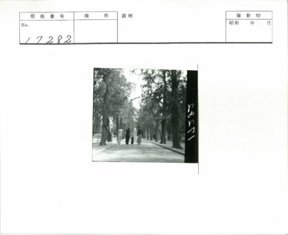 绿树成荫公园小径与长凳.jpg