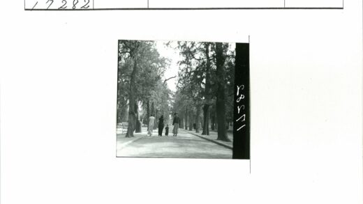绿树成荫公园小径与长凳.jpg