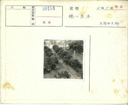 绿树成荫的街道与公园秋千.jpg
