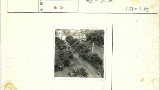 绿树成荫的街道与公园秋千.jpg