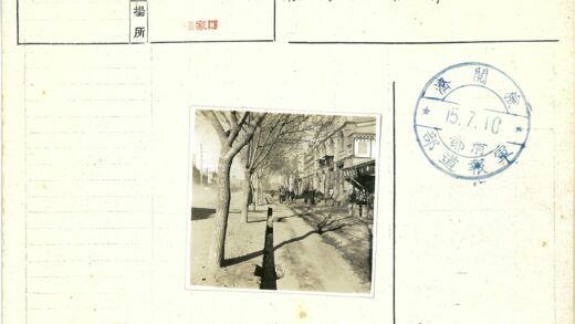 绿树成荫的街道与行人.jpg