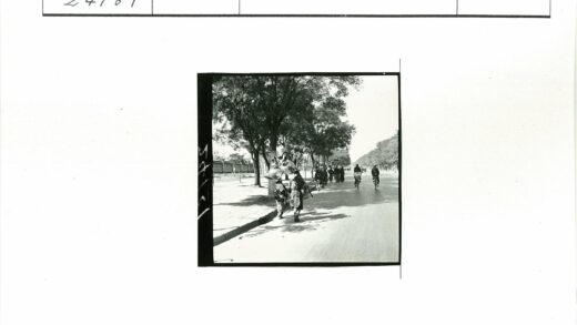 绿树成荫街道行人骑车图.jpg