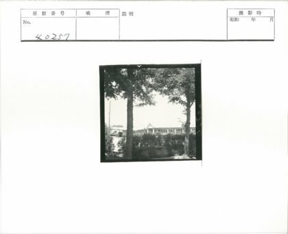 绿树掩映斜屋顶建筑景观.jpg
